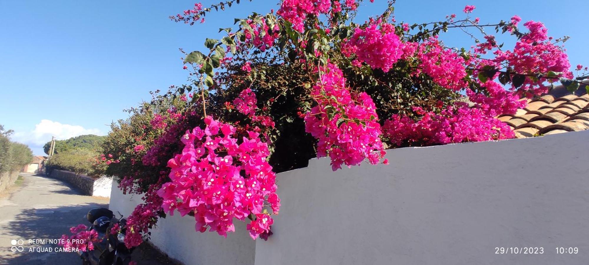 La Casa Del Nonno Bed & Breakfast มิลาซโซ ภายนอก รูปภาพ