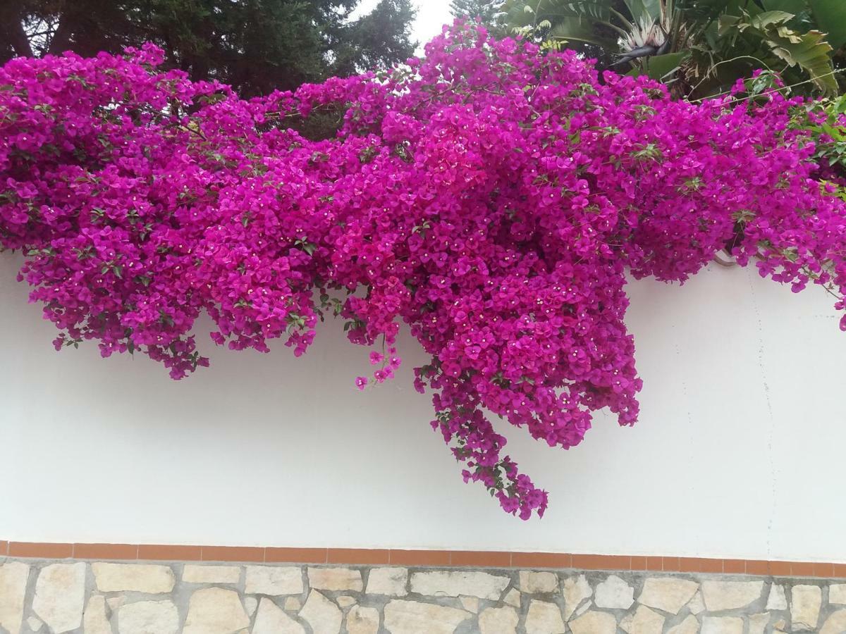 La Casa Del Nonno Bed & Breakfast มิลาซโซ ภายนอก รูปภาพ